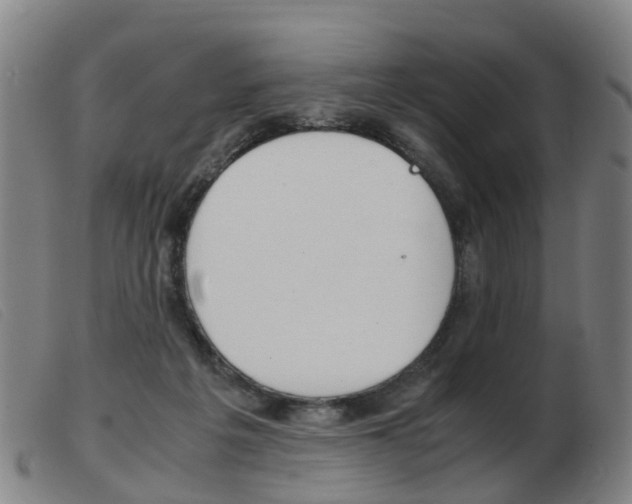 X0000103940217200809191155