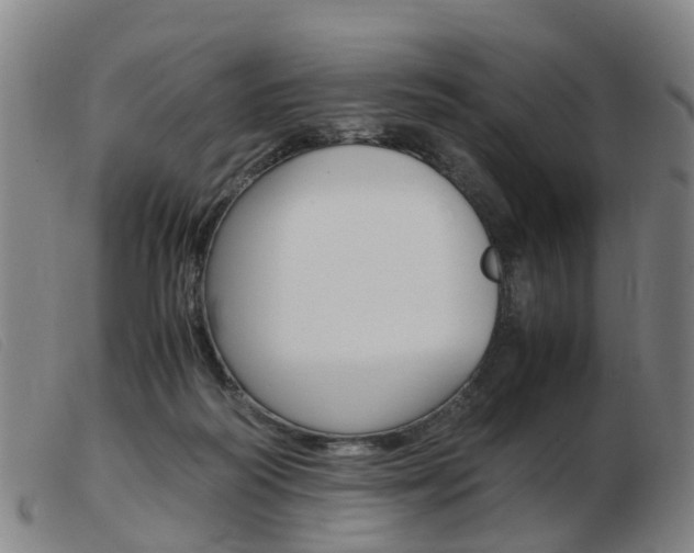 X0000103940218200809191155