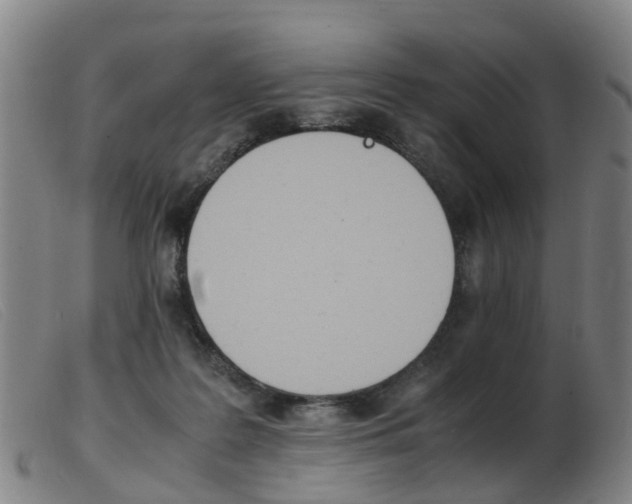 X0000103940219200809191155