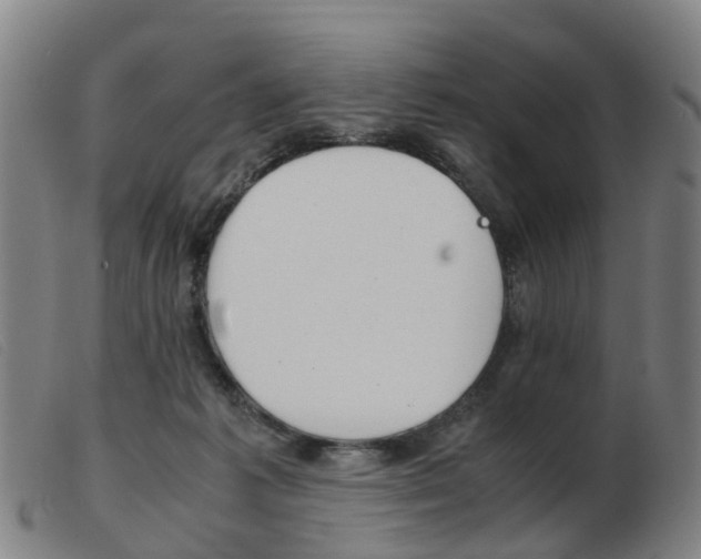 X0000103940221200809191155