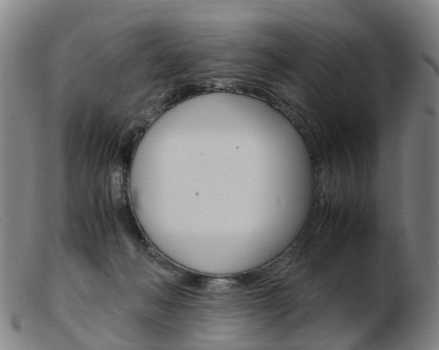 X0000103940222200809191155