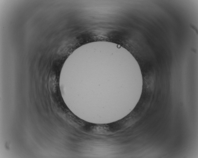 X0000103940223200809191155
