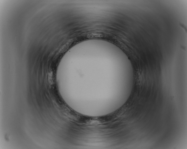 X0000103940224200809191155
