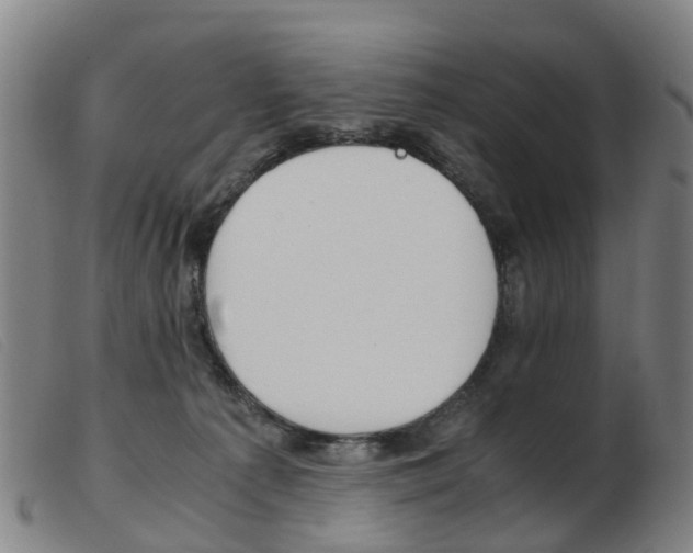 X0000103940225200809191155