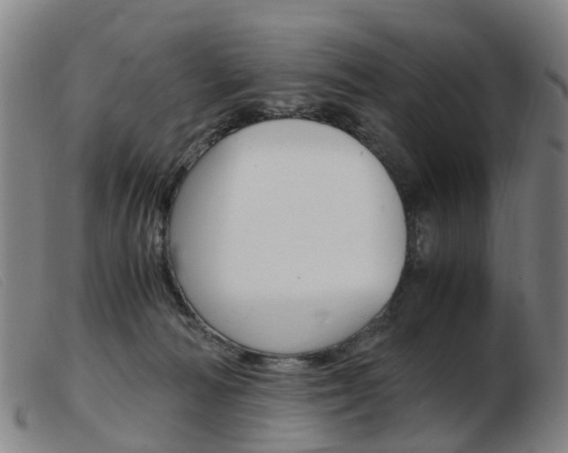 X0000103940226200809191155