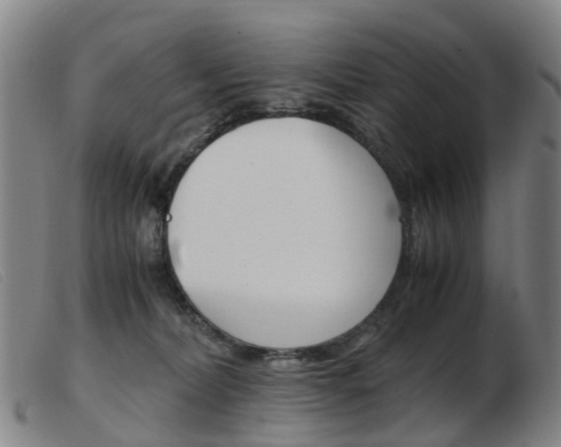 X0000103940228200809191155