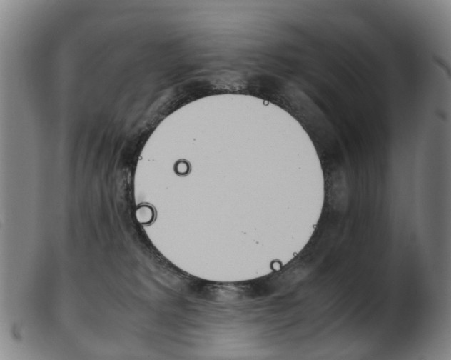 X0000103940229200809191155