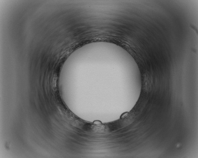 X0000103940230200809191155