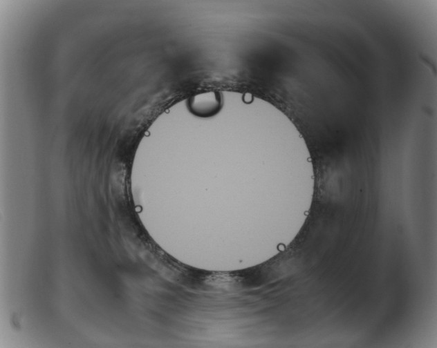 X0000103940231200809191155
