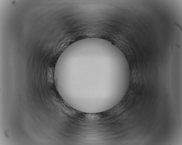 X0000103940234200809191155