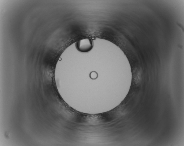 X0000103940235200809191155