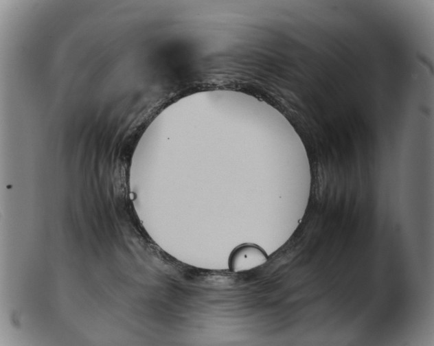 X0000103940236200809191155