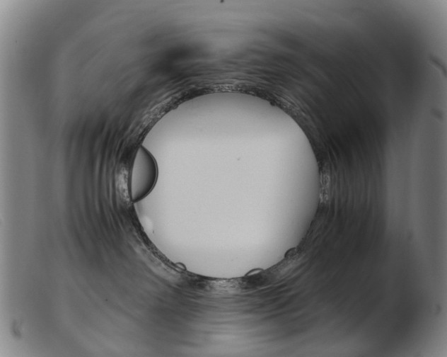 X0000103940238200809191154