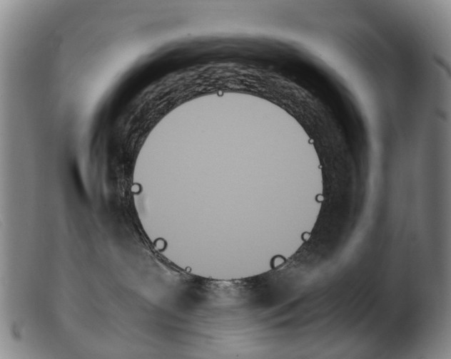 X0000103940239200809191154
