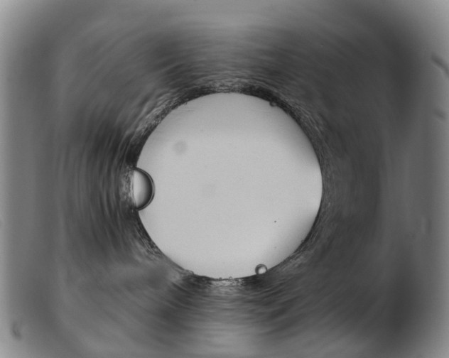 X0000103940240200809191154