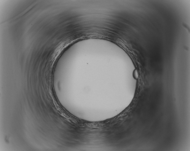 X0000103940241200809191154