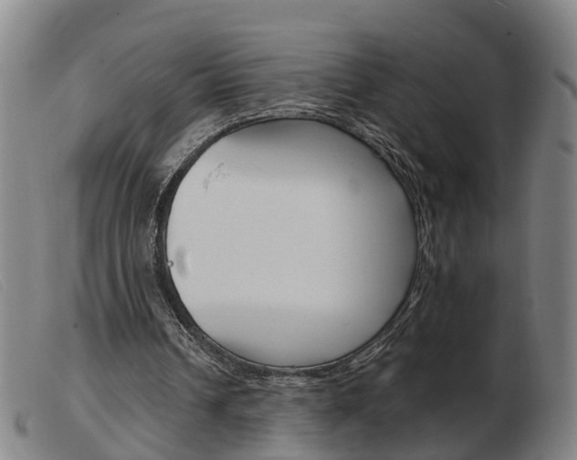 X0000103940242200809191154