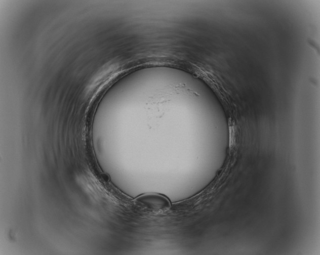 X0000103940243200809191154