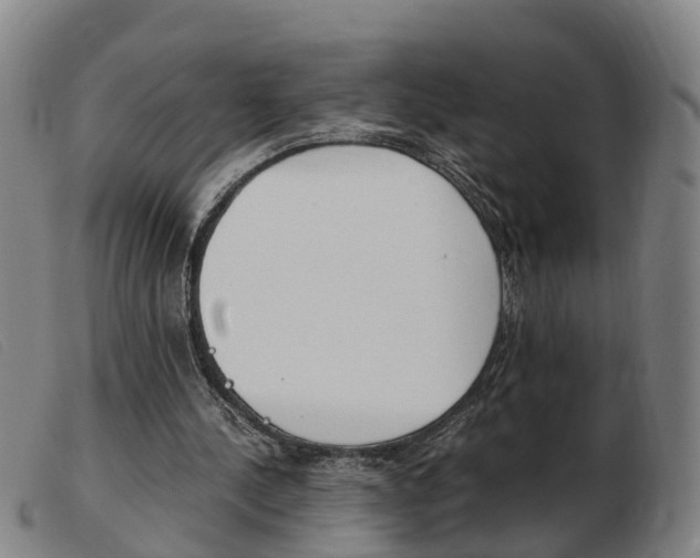 X0000103940244200809191154