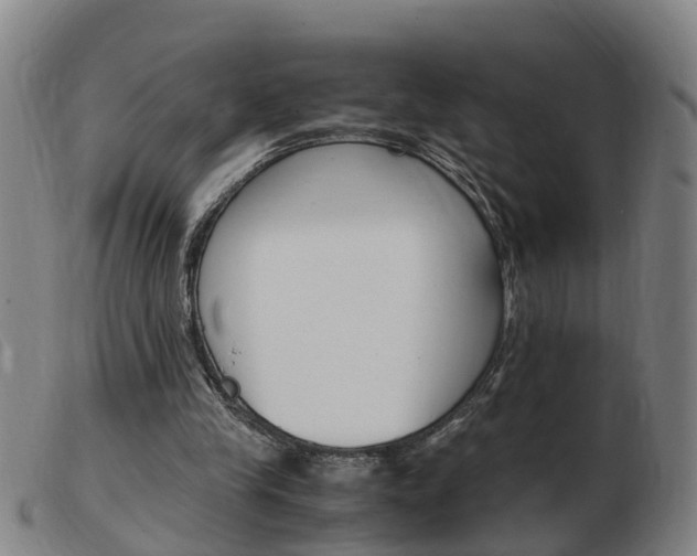 X0000103940245200809191154