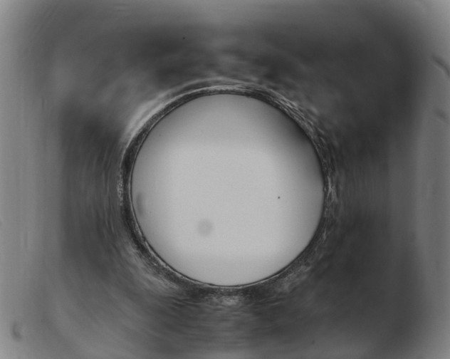 X0000103940247200809191154