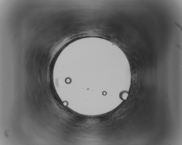 X0000103940248200809191154