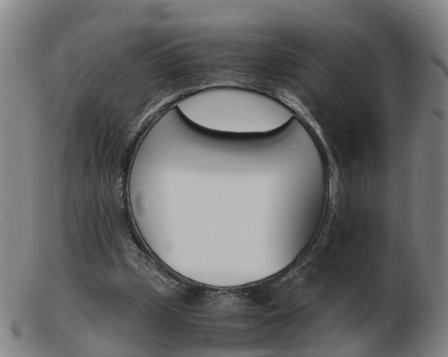 X0000103940249200809191154