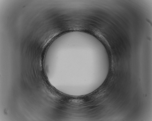 X0000103940251200809191154