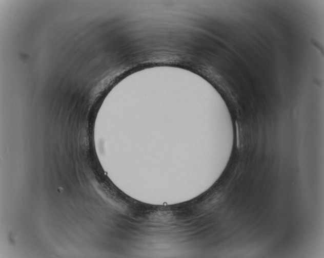 X0000103940252200809191154