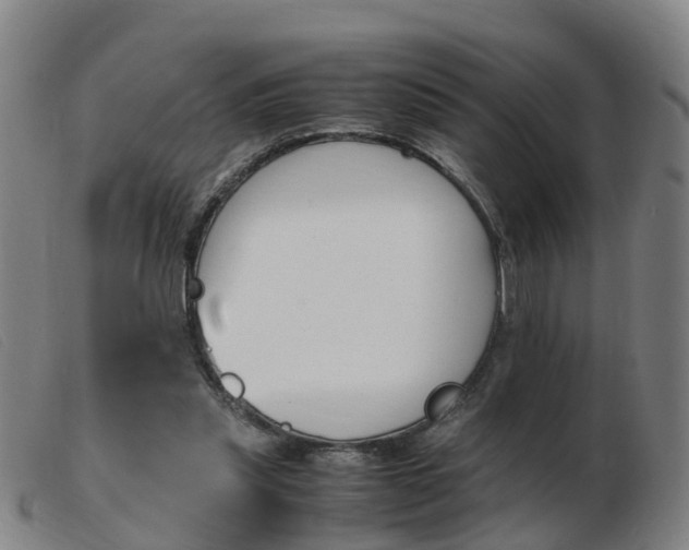 X0000103940253200809191154