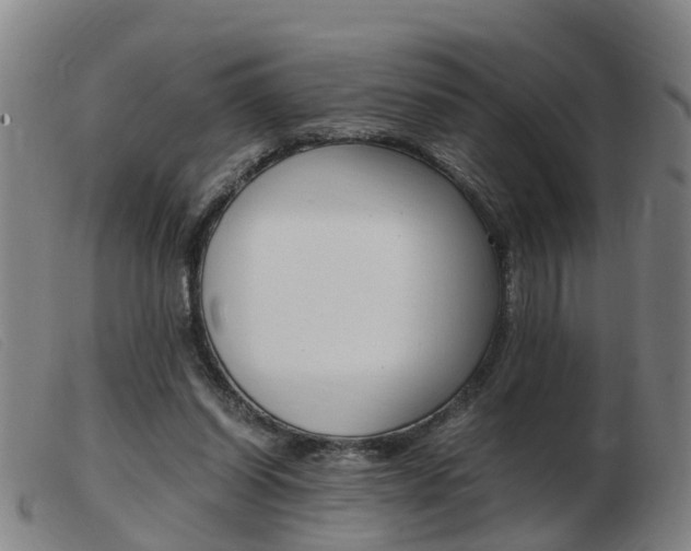 X0000103940254200809191154