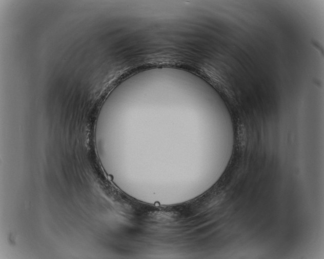 X0000103940255200809191154