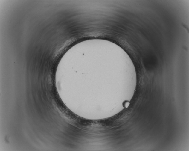 X0000103940256200809191154