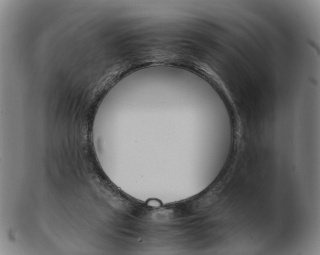 X0000103940257200809191154