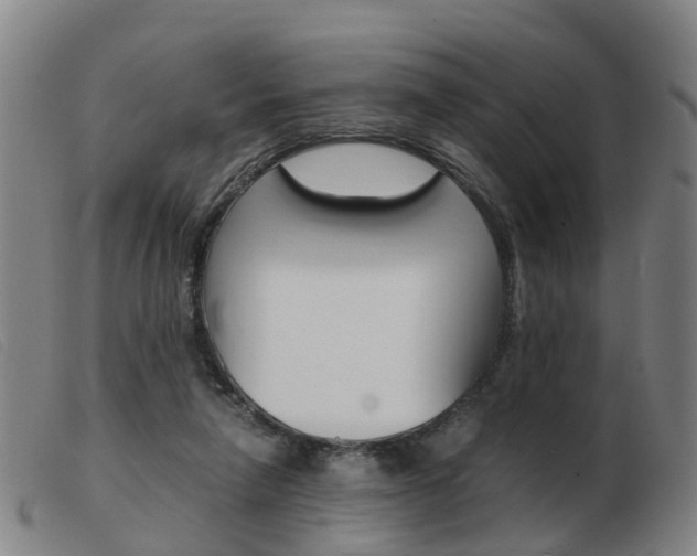 X0000103940258200809191154