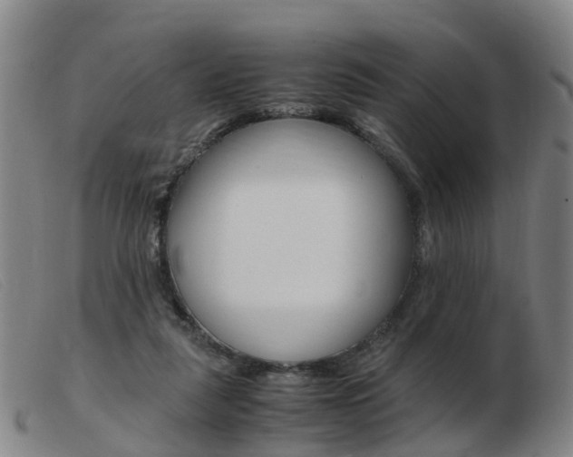 X0000103940259200809191154