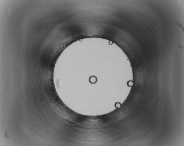 X0000103940260200809191154