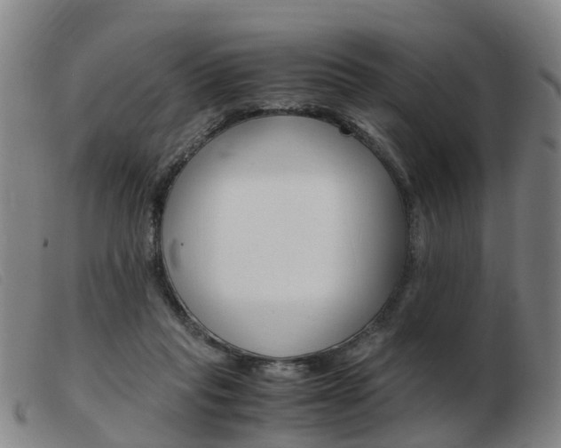 X0000103940261200809191154