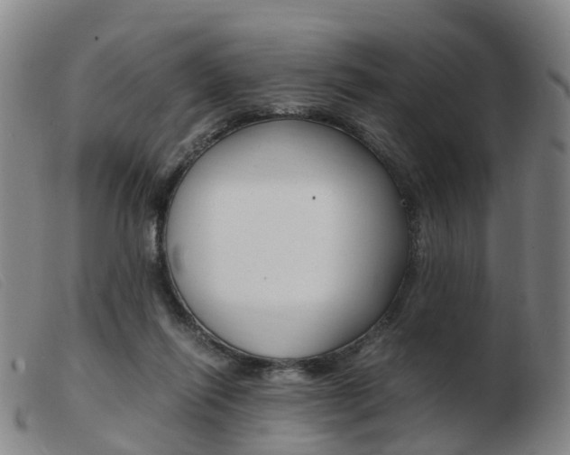 X0000103940262200809191154