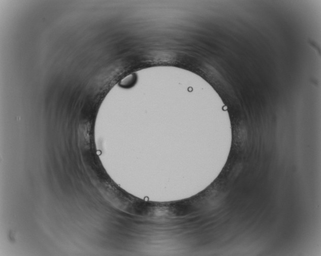 X0000103940264200809191154