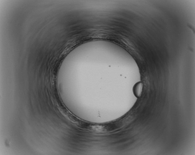 X0000103940265200809191154