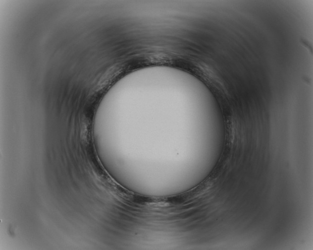 X0000103940266200809191154
