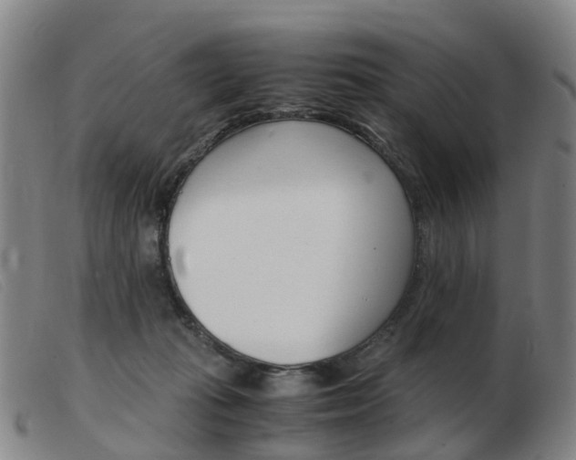 X0000103940269200809191154