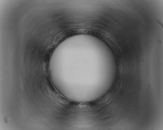 X0000103940270200809191154