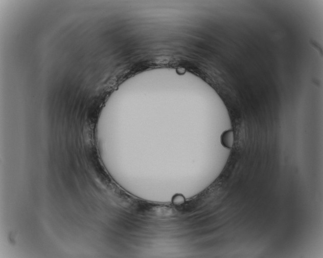 X0000103940272200809191154
