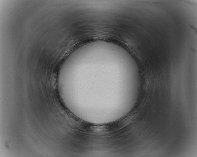 X0000103940273200809191154