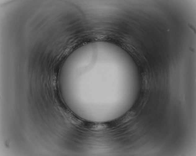X0000103940274200809191154