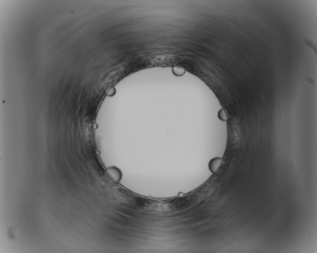 X0000103940276200809191154