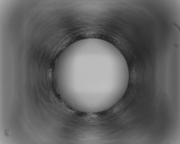 X0000103940278200809191154