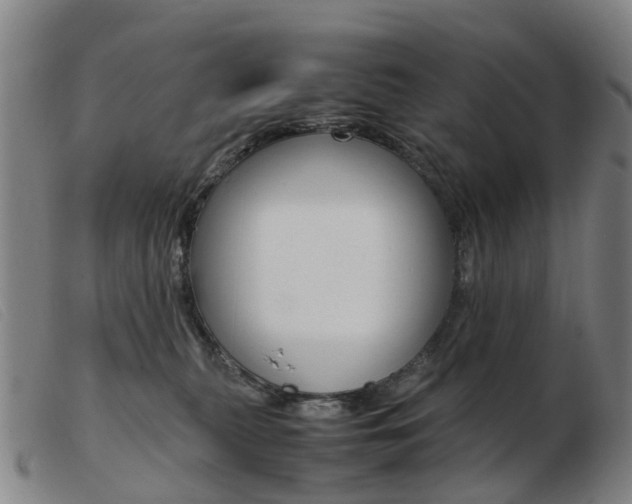 X0000103940279200809191154